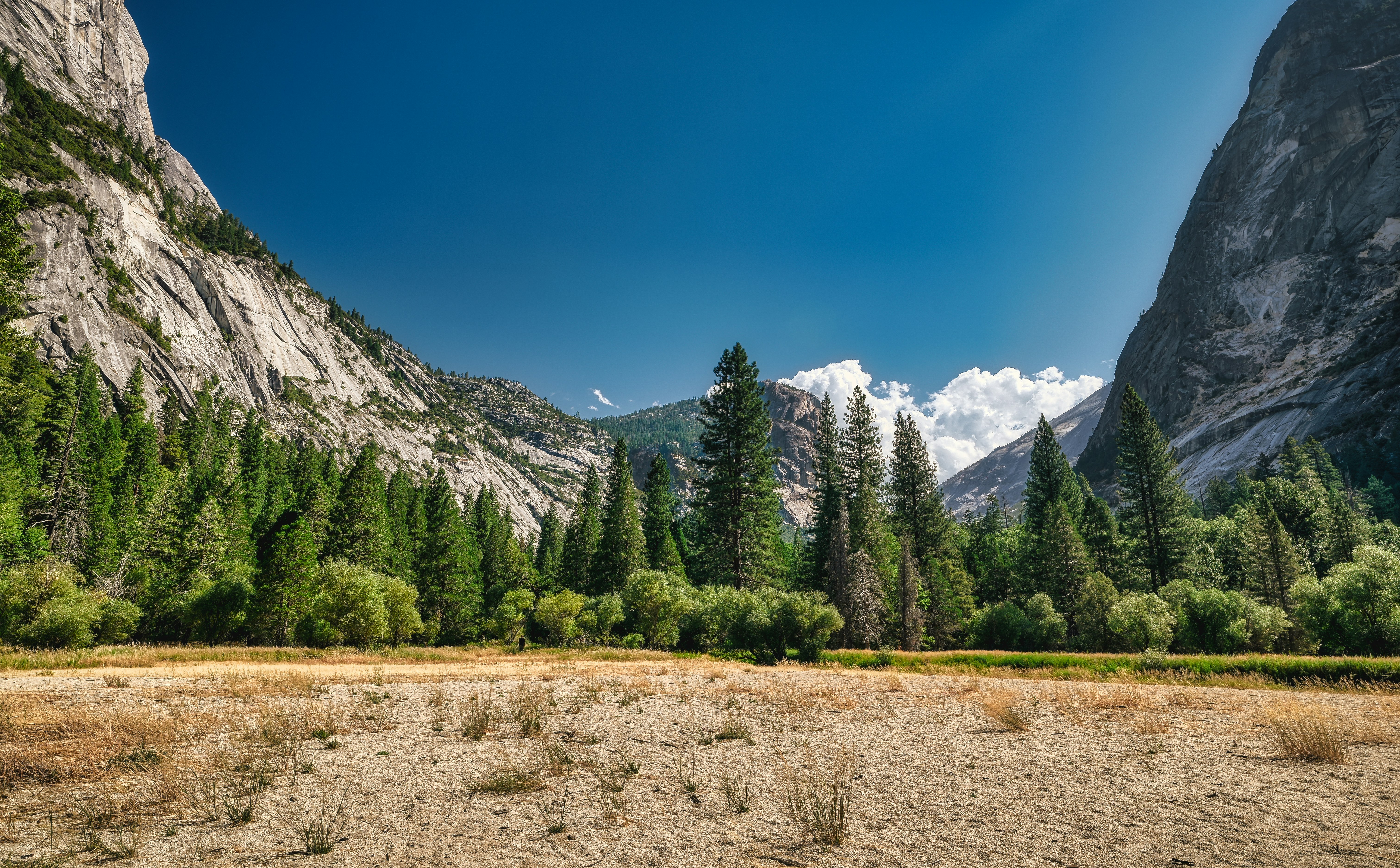 green trees and brown grass field near mountain under blue sky during daytime